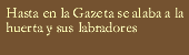 Gazeta