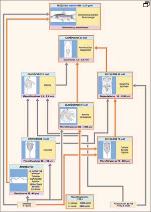 figura3